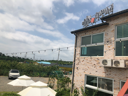 이화애월백하고 사진 4