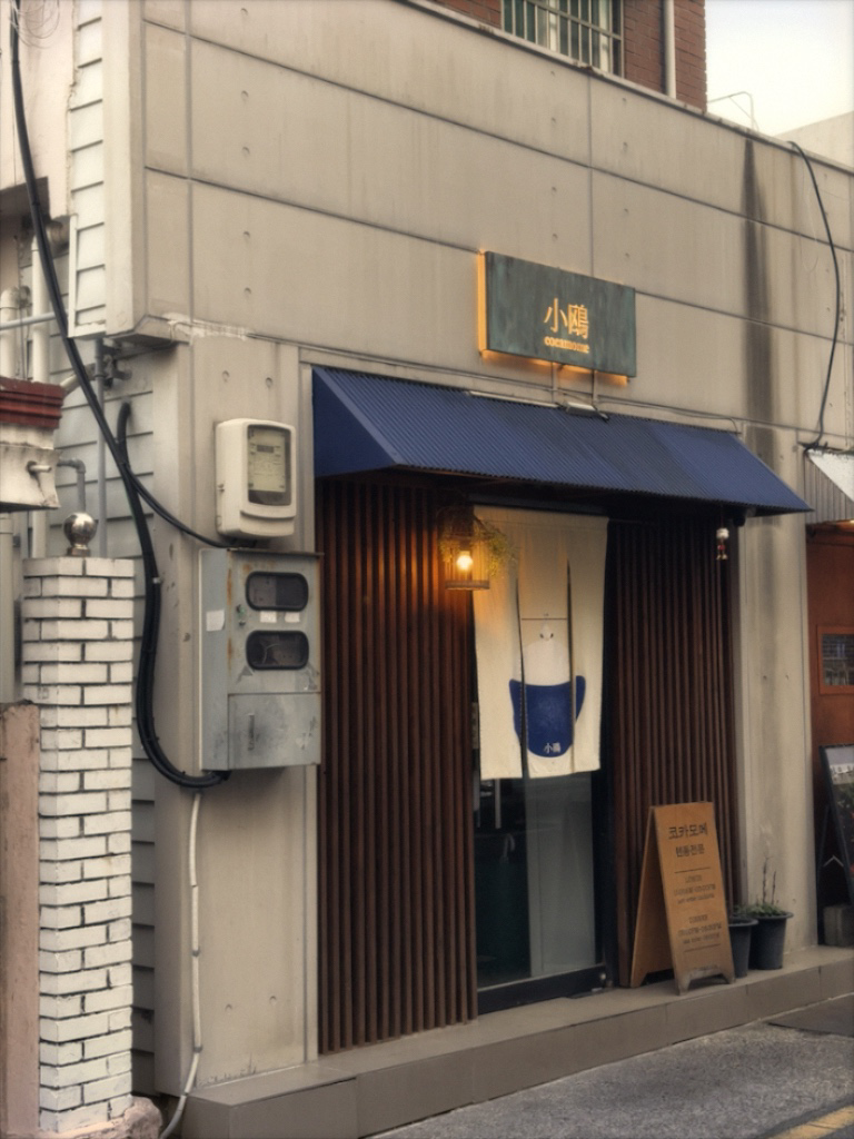 코카모메 사진 2