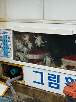 그림횟집 사진 2