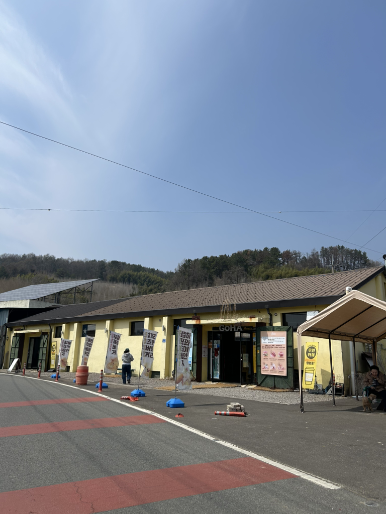 고하버거 사진 3