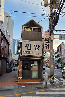 원앙 사진 4