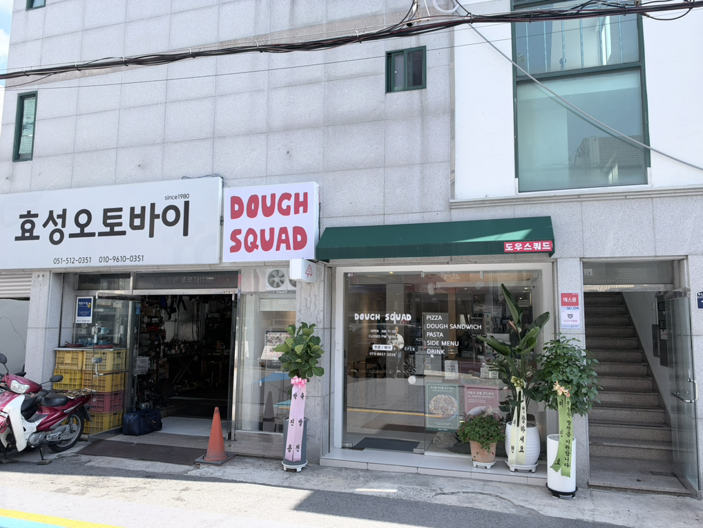 도우스쿼드 대표 사진