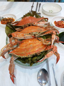 미락 사진 2