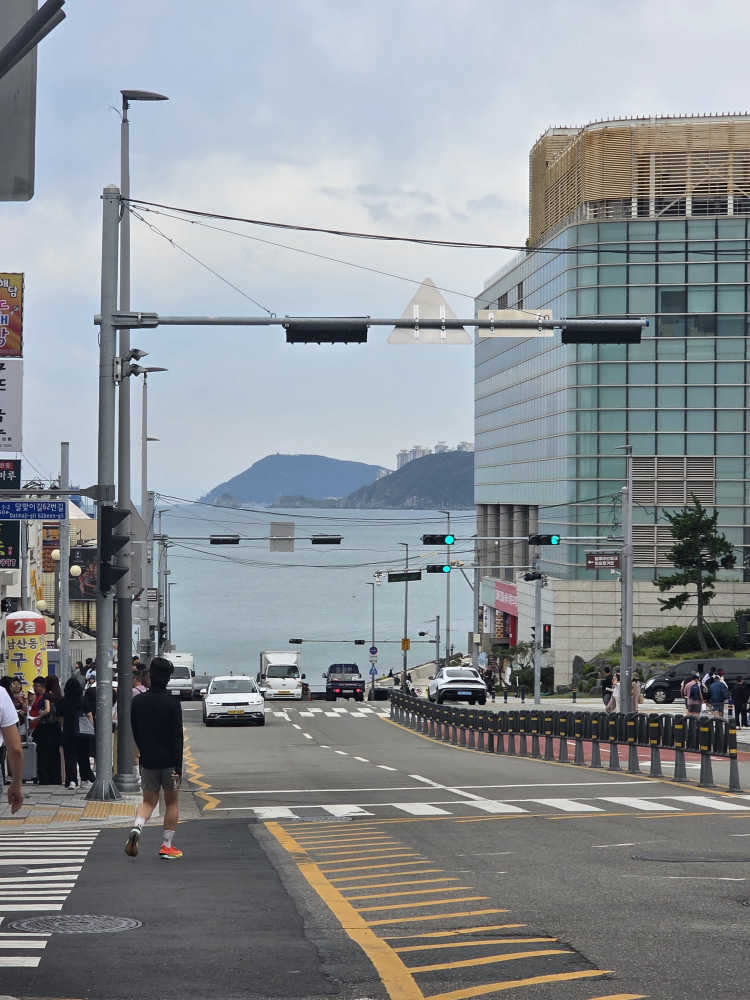 미포집 해운대본점 사진 3