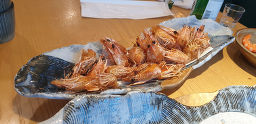 황금새우 사진 3