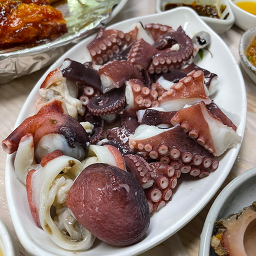 맥시칸회식당 사진 3