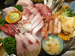 사카나 사진 4