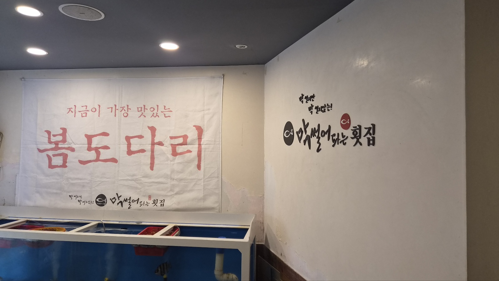 막썰어파는횟집 사진 8