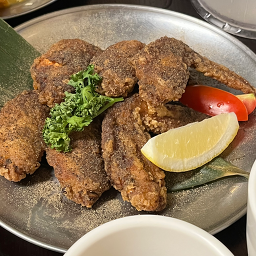 파랑새야 사진 5