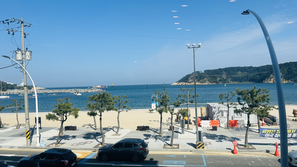 빵파제 일산점 사진 8