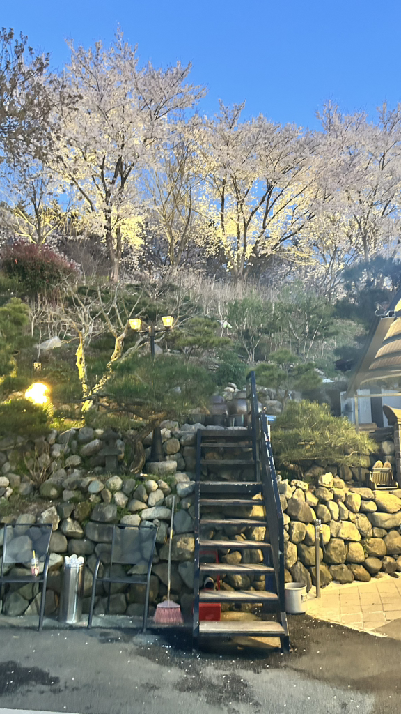 기와골맷돌순두부 사진 3