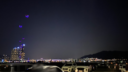 갈매기 사진 2