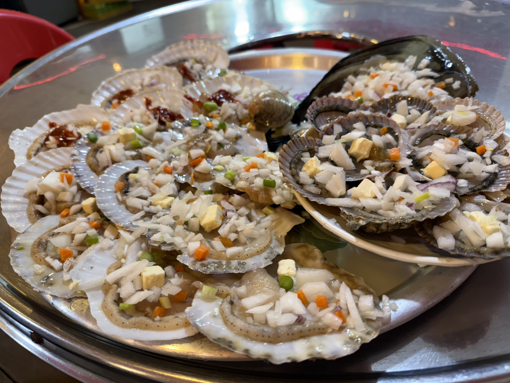 산호집 사진 2