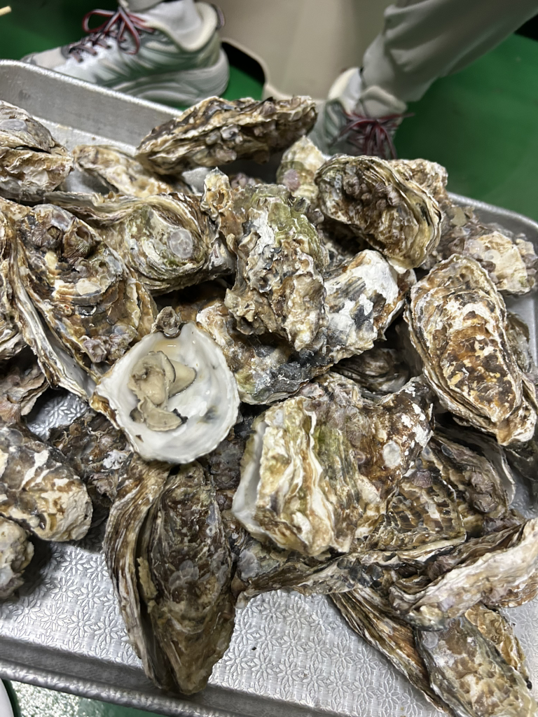 삼삼해물 장승포점 대표 사진