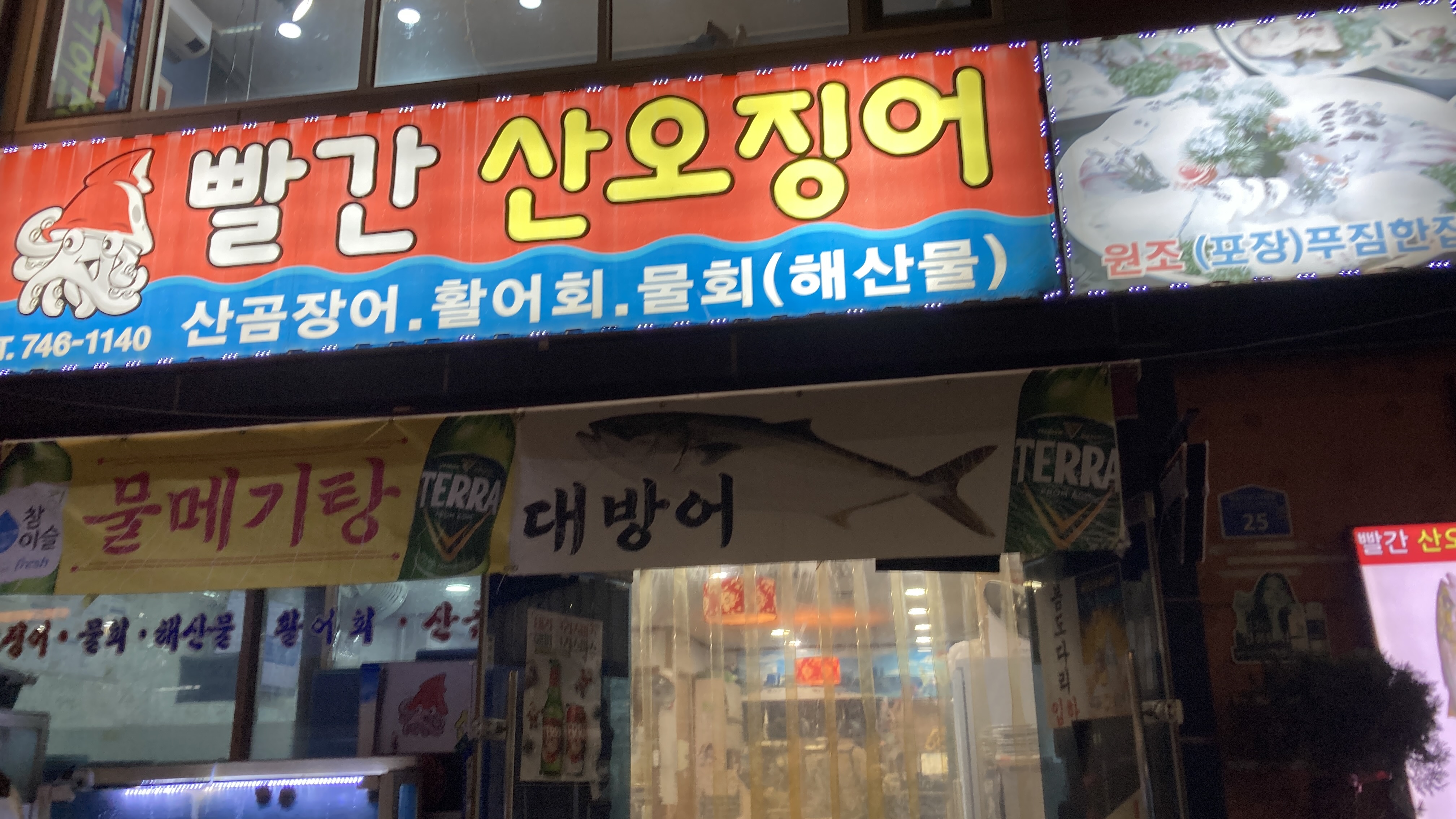 빨간산오징어 사진 8
