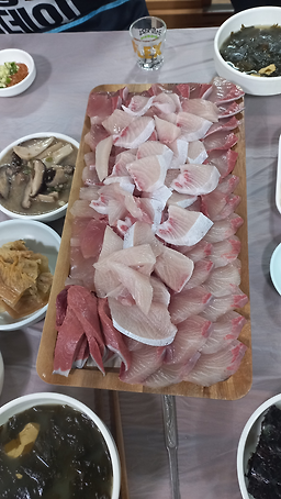 선명회센타 대표 사진