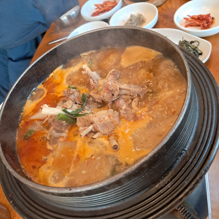 불미골오리 사진 4