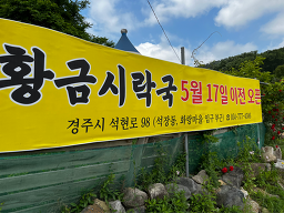 황금시락국 사진 2