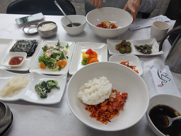 뜰채 사진 6