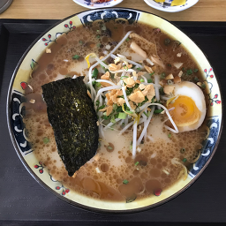 코토코토 사진 4