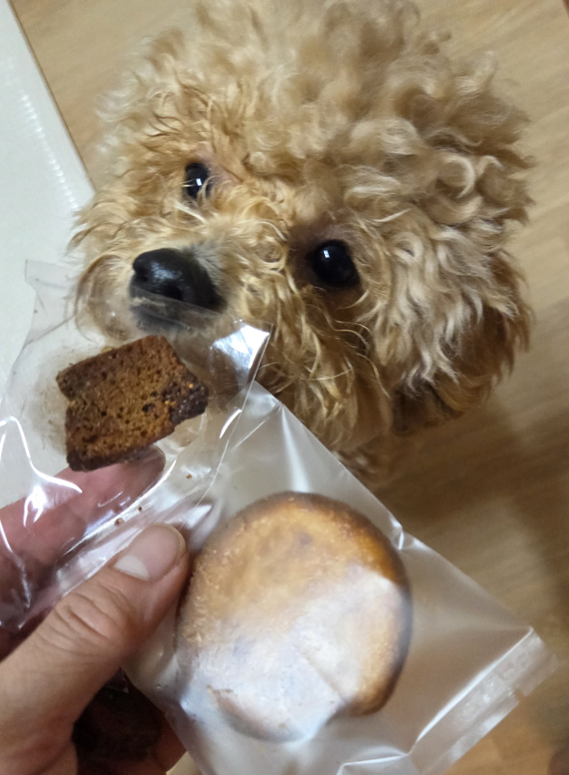 뻬이커리 대표 사진