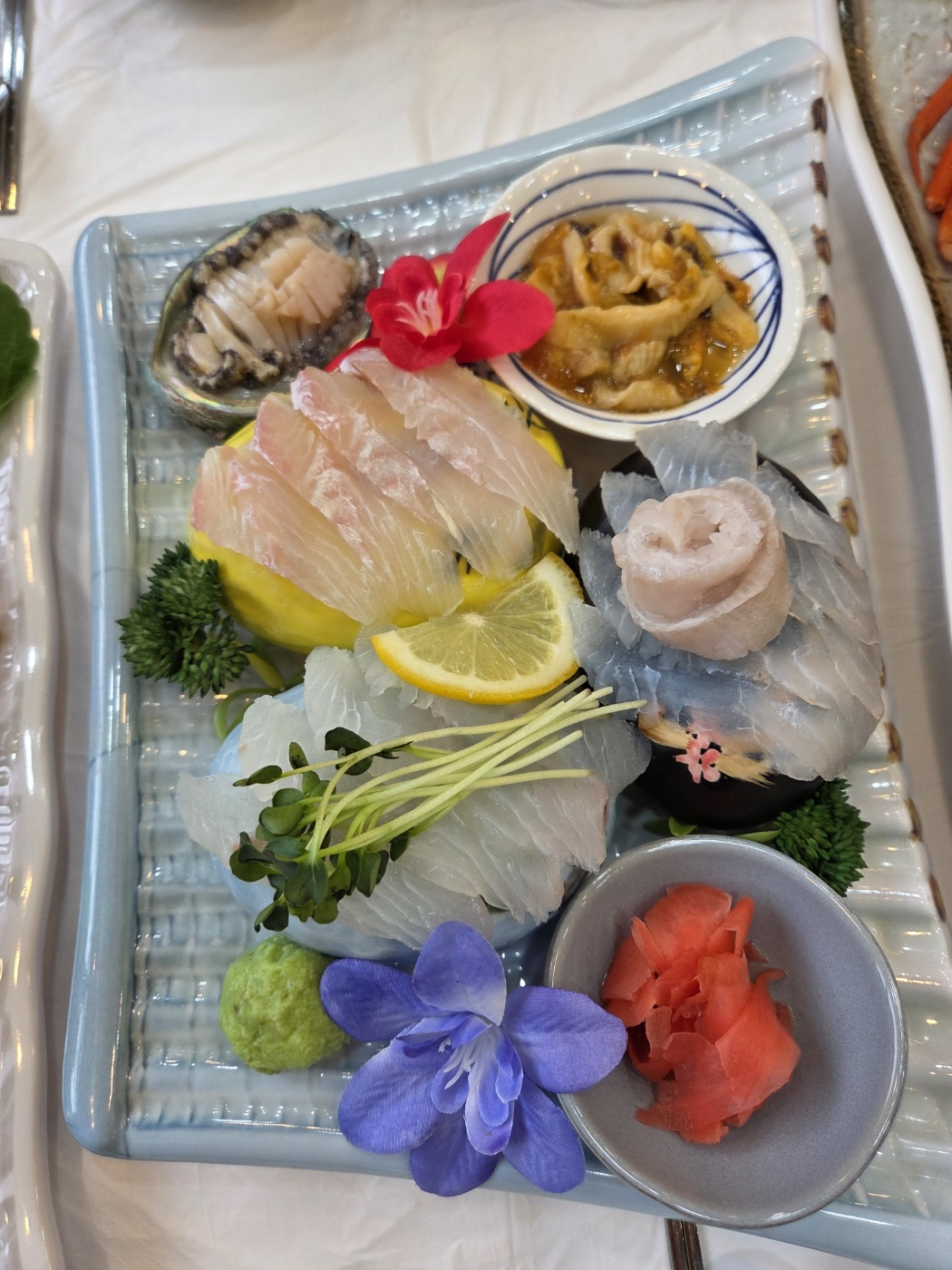 사천어가 사진 5