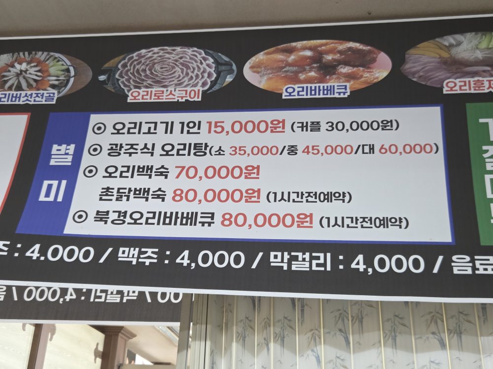 탐진강오리 사진 4