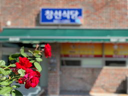 창선식당 사진 4