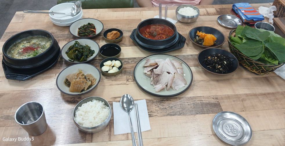 교래퐁낭 대표 사진