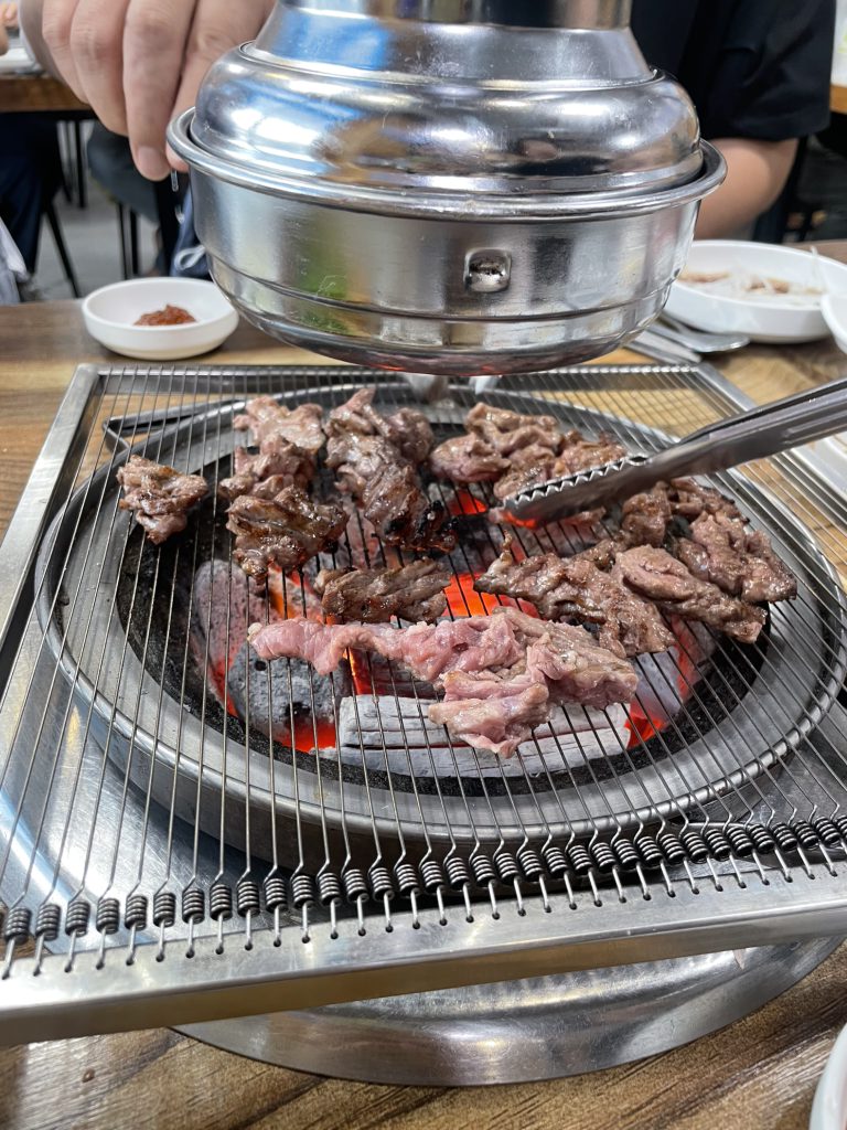 부산갈매기 사진 3