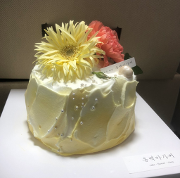 동백아가씨 사진 3