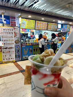시쥬 사진 2