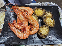 갈매기 사진 6