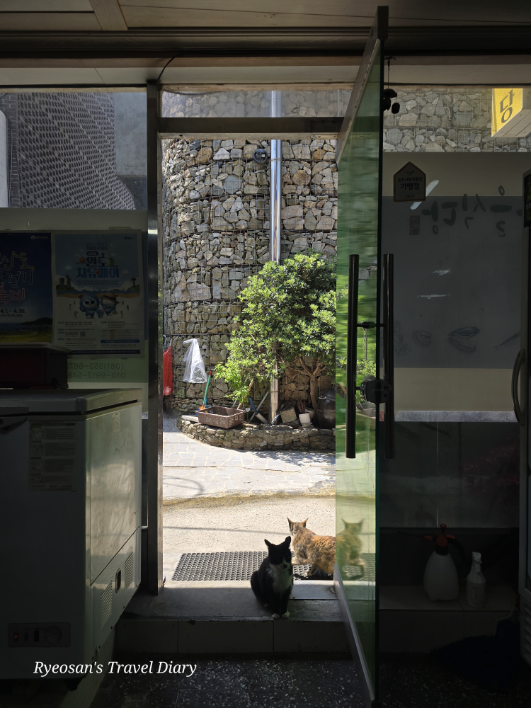 섬마을 사진 5