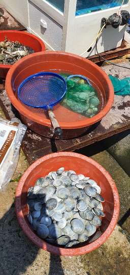 청화식당 사진 4