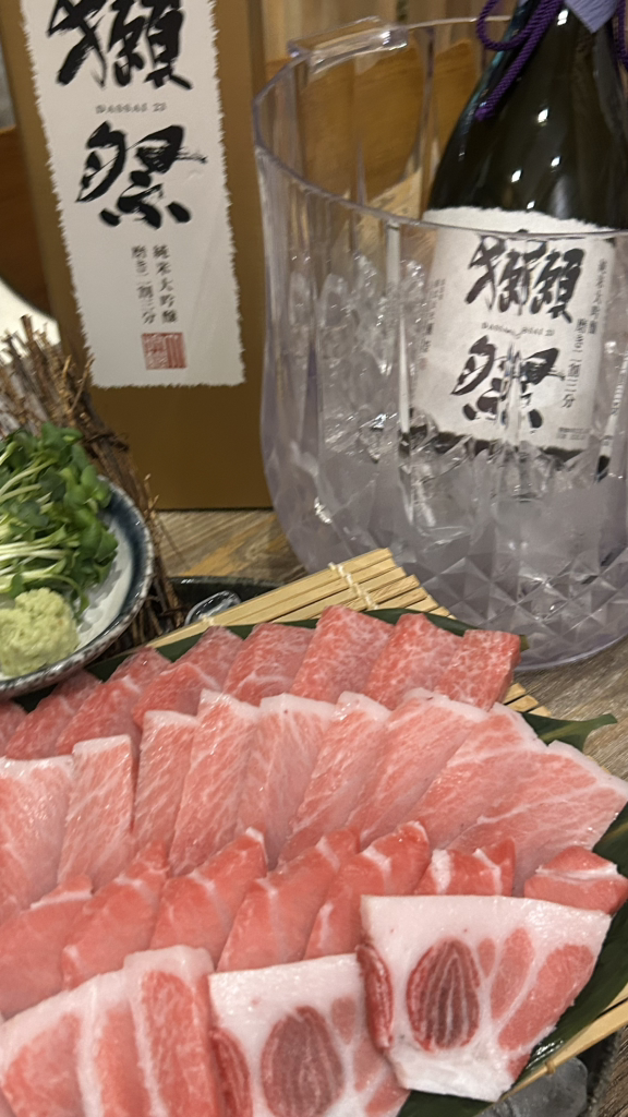 요이참치 사진 2