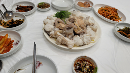 감포일출복어 사진 7