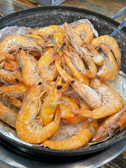 사천왕새우 사진 5