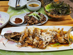 연잎연가 사진 5