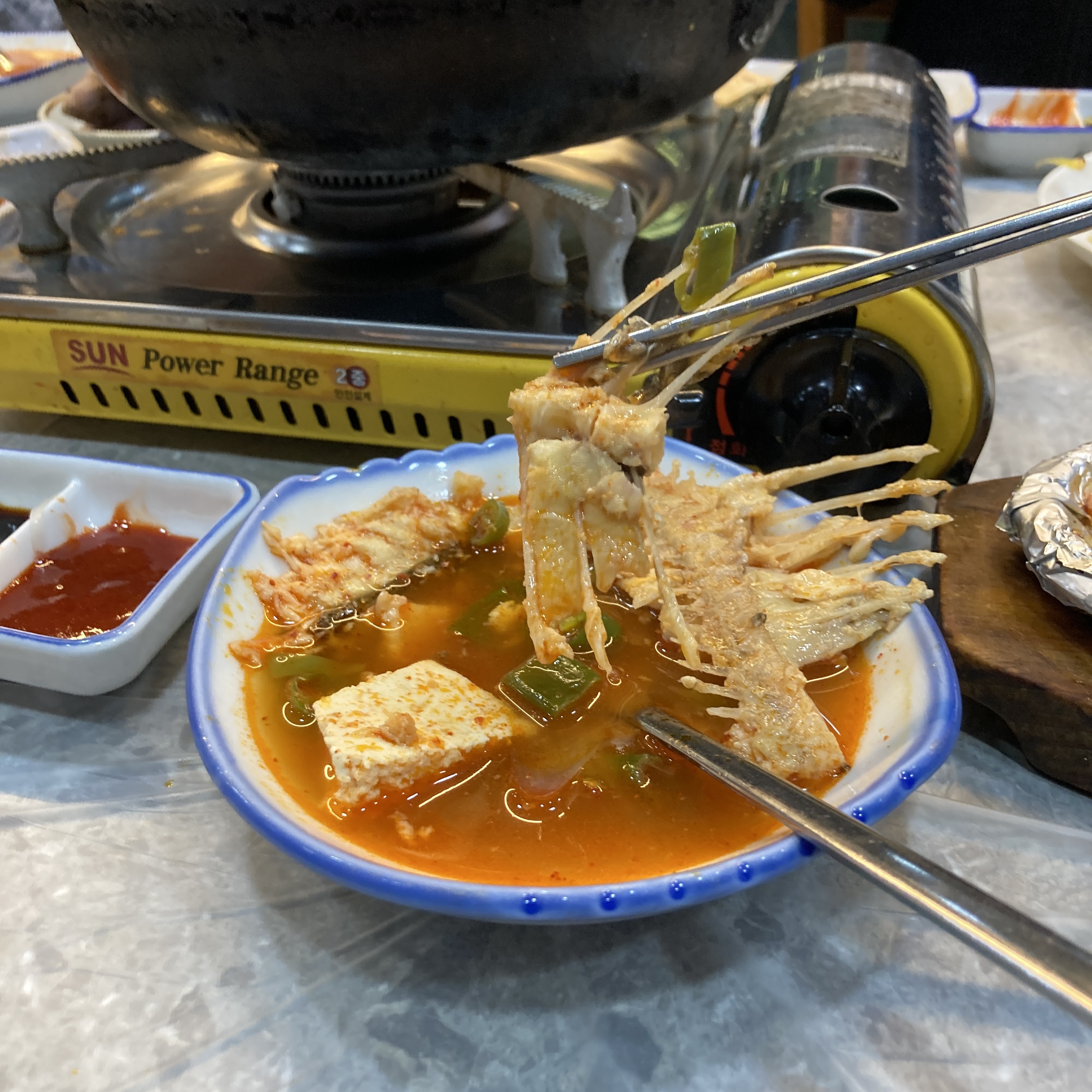 빨간산오징어 사진 2