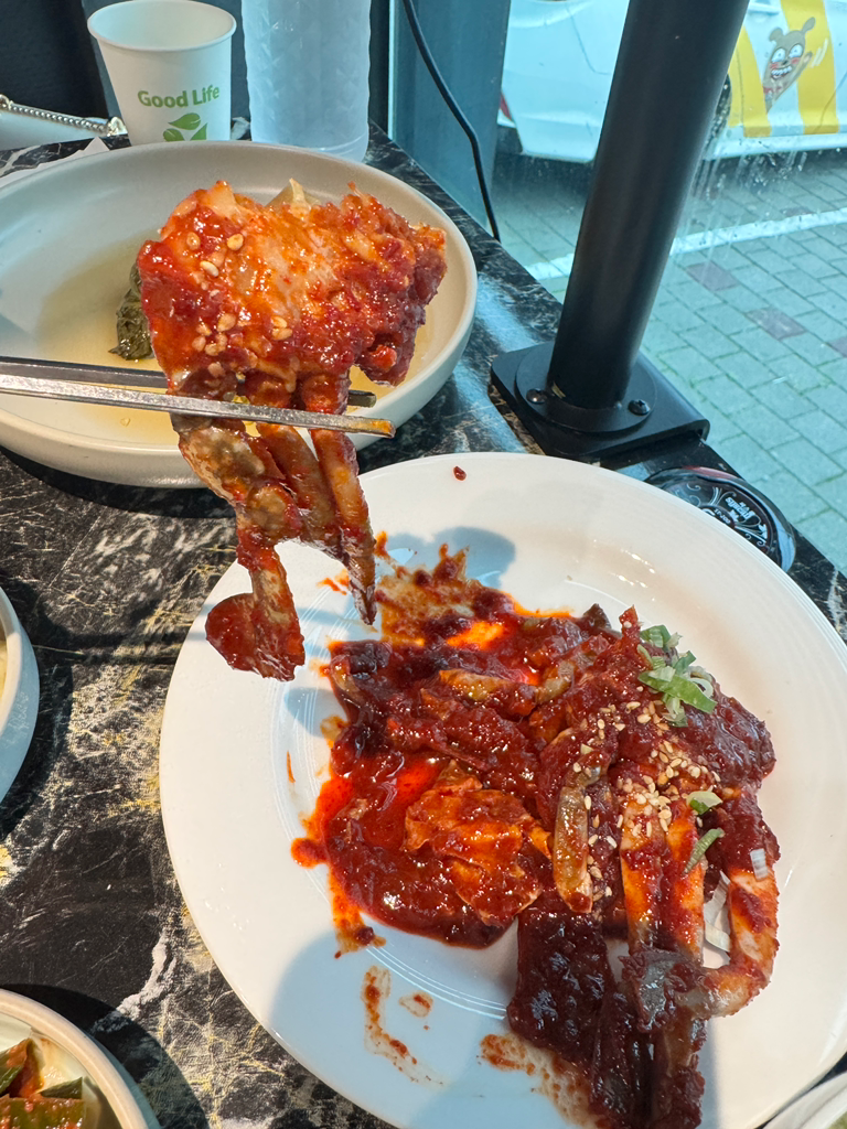 금송아지 사진 2