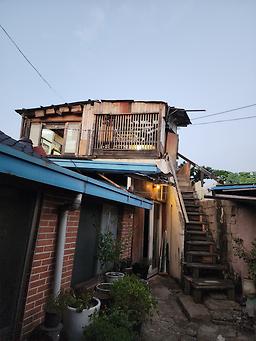 돼지오케이 사진 3