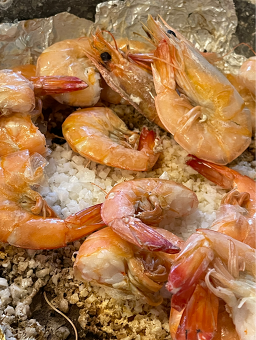 청솔 사진 4