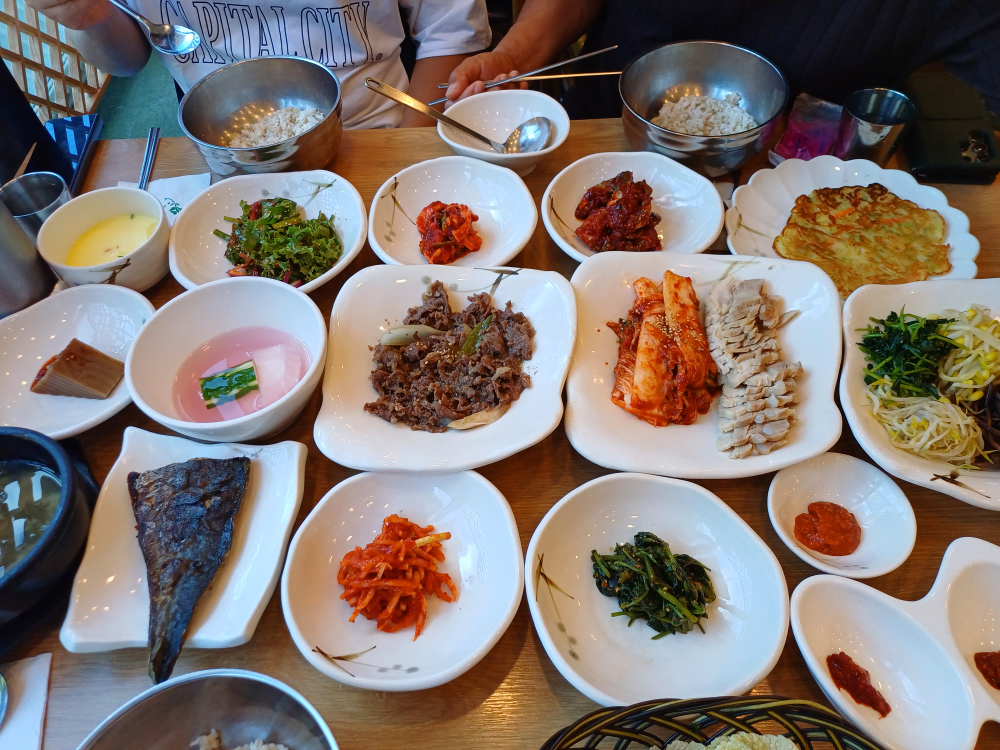 벽오동 사진 7