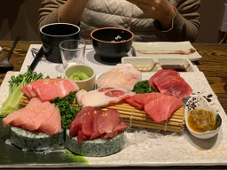 다미참치 사진 8