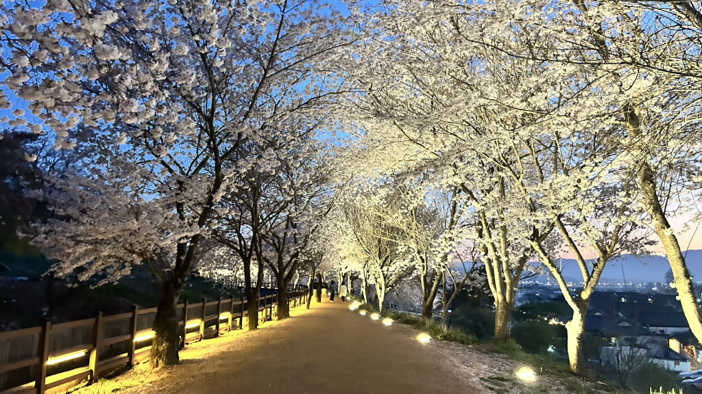 기와골맷돌순두부 사진 2