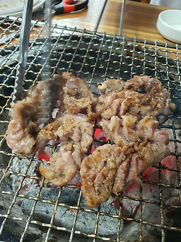 부산갈매기 사진 2