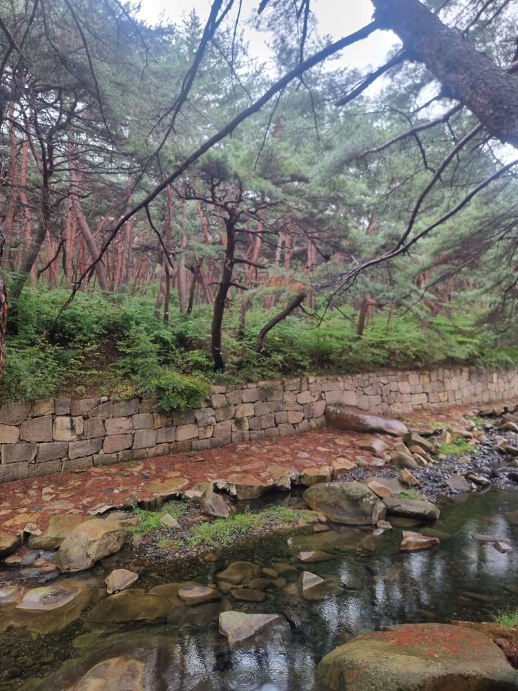 송수정카페