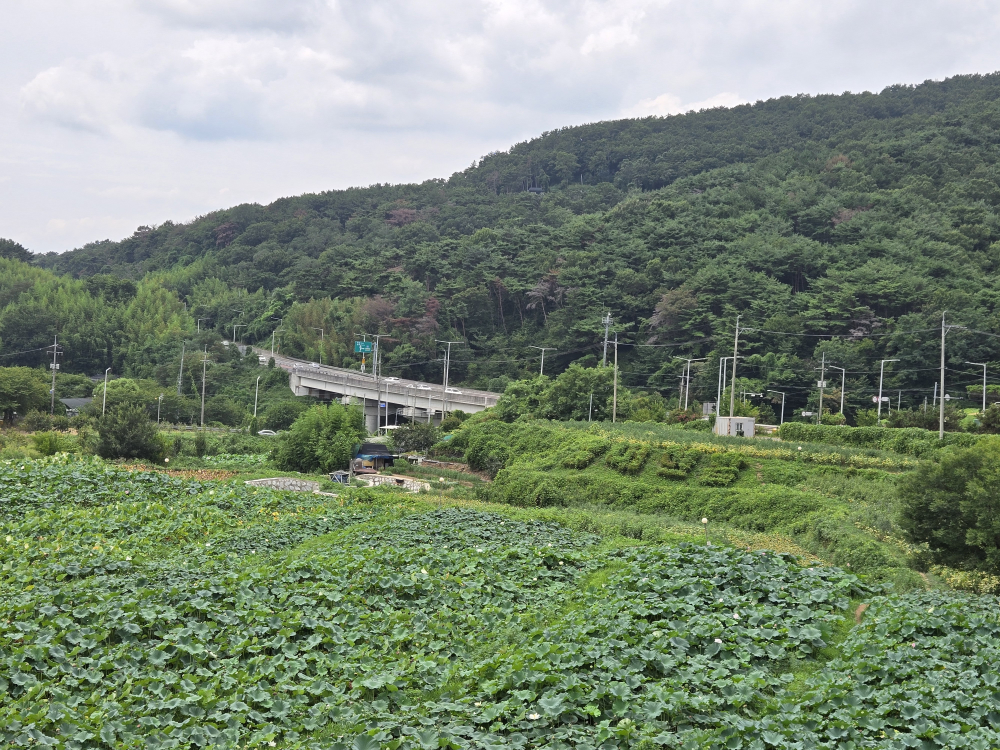 곰내연밭식당 사진 2