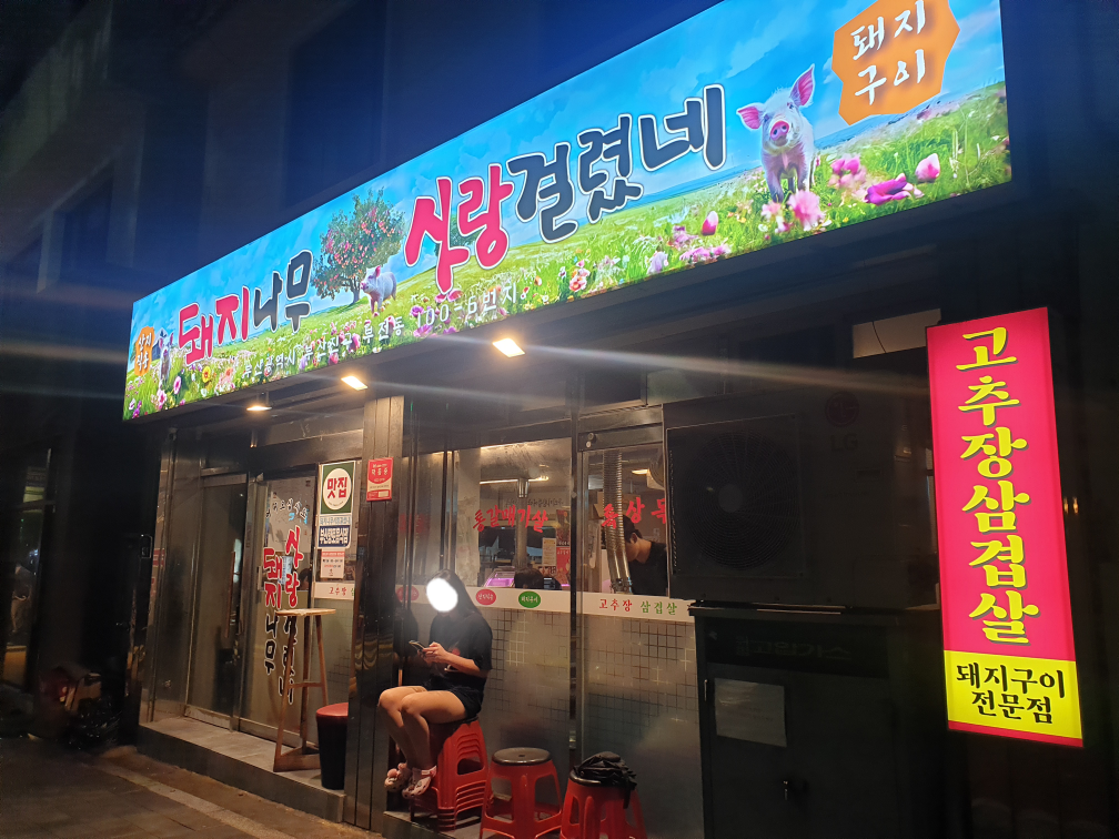 돼지나무사랑걸렸네 사진 3